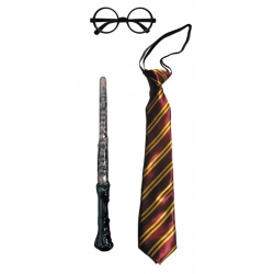 Gobelet Harry Potter en plastique 473ml - La magie du déguisement