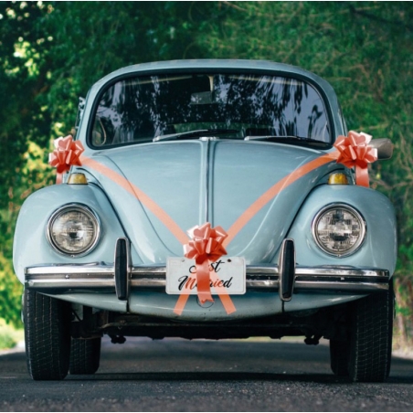 Mariage Kit de décoration pour voiture couleur rouge